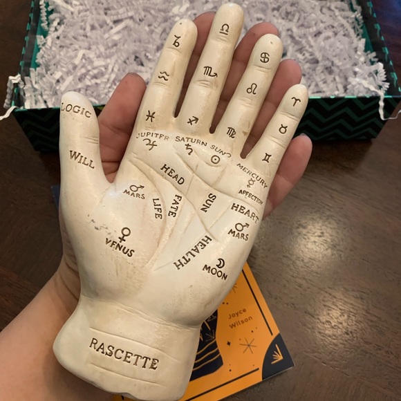 Palmistry Hand Set - Picture 3 of 3